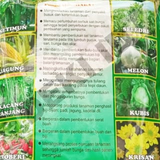 preview image 4
