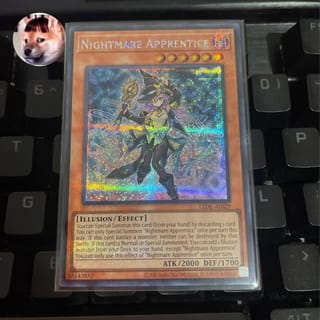 preview image 4