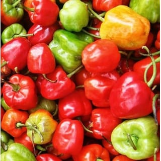 preview image 3