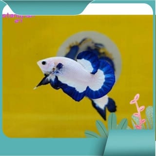 preview image 1