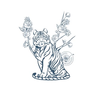Calligraphy Ink & Fountain Pen - Water Tiger Limited Edition | Indo4ward