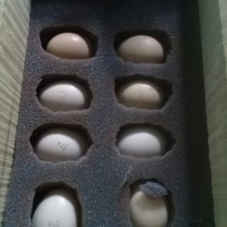 preview image 2