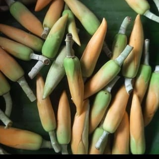 preview image 5