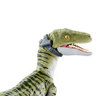 preview image 5