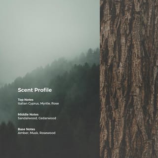preview image 2
