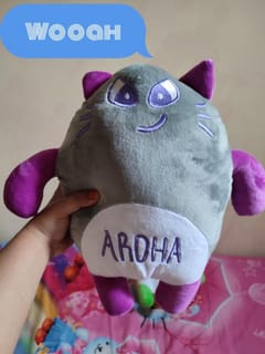 Doll Length 30 cm | Fanmade Plush Astro Aroha Zipper Pouch