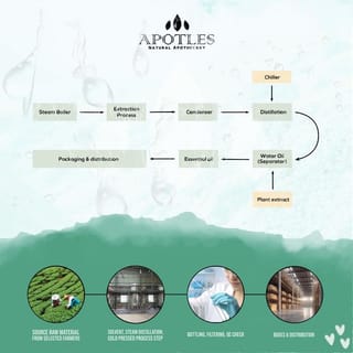 preview image 6