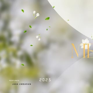 preview image 2