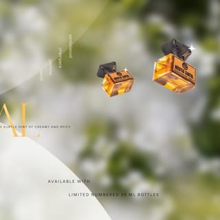preview image 4