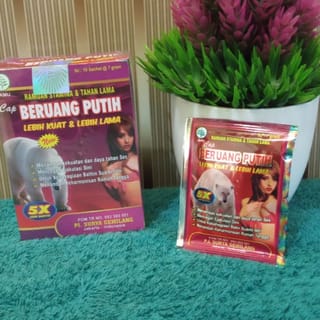 preview image 5